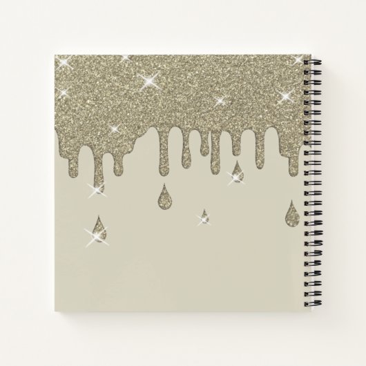 Elegant persoonlijk, zilver-dop-glittereffect notitieboek (Achterkant)