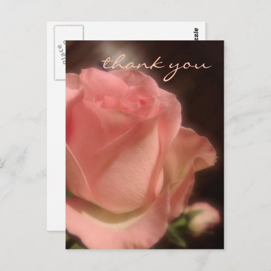Elegant perzik Roos - Dank u Briefkaart (Voorkant / Achterkant)