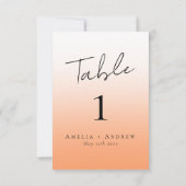 Elegant Perzik Sinaasappel Fuzz Trouwtafel Nummer (Achterkant)