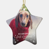 Elegant Pets 'Eerste Kerstmis' 2 FotoKerstmis Keramisch Ornament (Links)