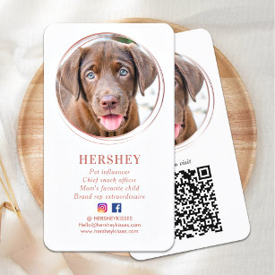 Elegant Photo Roos Gold Dog Pet Social Media Visitekaartje