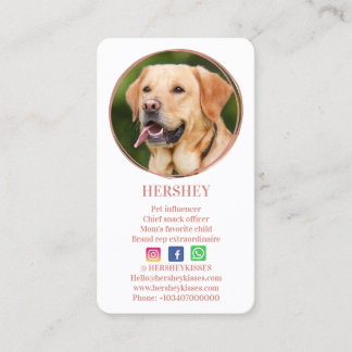 Elegant Photo Roos Gold Dog Pet Social Media Visitekaartje