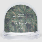 Elegant Pine Border Photo Snow Globe Sneeuwbol (Achterkant)