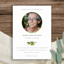 Elegant Pine Branch Fauna Fotosympathie Memorial