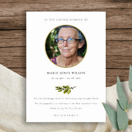 Elegant Pine Branch Fauna Fotosympathie Memorial Bedankkaart