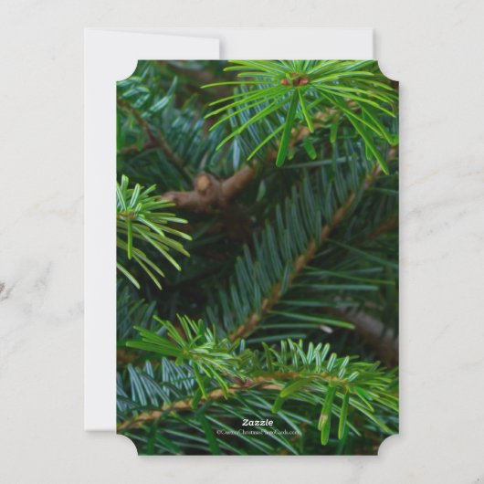 Elegant Pine Gold Red Bow kerst Feestdagenkaart (Achterkant)