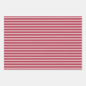 Elegant Pink Floral & Stripe Wrapping Paper Set (Voorkant 3)