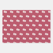 Elegant Pink Floral & Stripe Wrapping Paper Set (Voorkant 2)