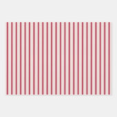 Elegant Pink Floral & Stripe Wrapping Paper Set (Voorkant)