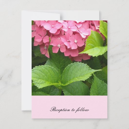 Elegant Pink Hydrangea Wedding Kaart (Achterkant)