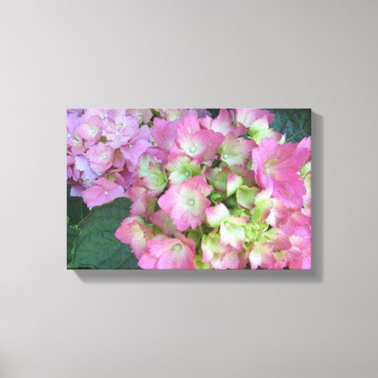 Elegant Pink Hydrangeas Canvas Afdruk (Voorkant)