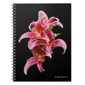 Elegant Pink Oriental Lilies Notitieboek (Voorkant)