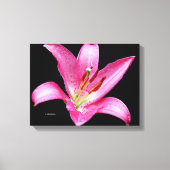 Elegant Pink Oriental Lily Lilium Stargazer Flower Canvas Afdruk (Voorkant)