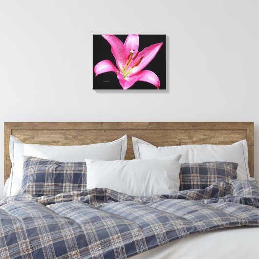 Elegant Pink Oriental Lily Lilium Stargazer Flower Canvas Afdruk (Insitu (Slaapkamer))