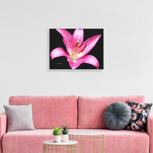 Elegant Pink Oriental Lily Lilium Stargazer Flower Canvas Afdruk (Insitu (Woonkamer))