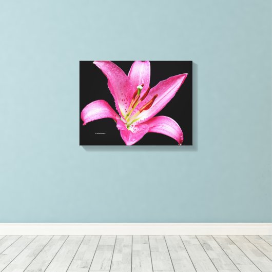 Elegant Pink Oriental Lily Lilium Stargazer Flower Canvas Afdruk (Insitu (Houten vloer))