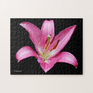 Elegant Pink Oriental Lily Lilium Stargazer Flower Legpuzzel