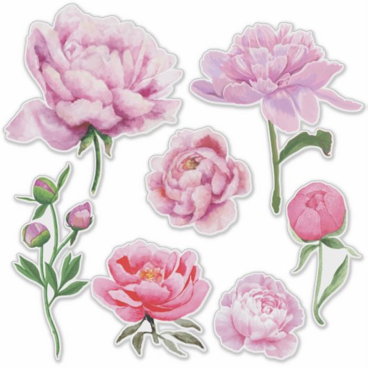 Elegant Pink Peony  Sticker (Voorkant)
