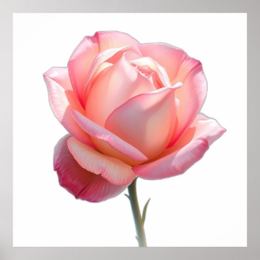 Elegant Pink Rose Blossom on Stem Poster (Voorkant)