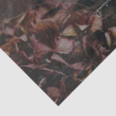 Elegant Pink Rose Flowers Moody Ephemera Decoupage Tissuepapier (Detail)