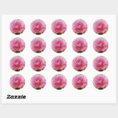 ELEGANT PINK ROSE RONDE STICKER (Vel)