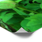 Elegant Pink Tree Peony Flowers met Yellow Center Poster (Hoek)