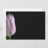 Elegant Pink Tulip Funeral of Memorial Aankondiging (Achterkant)