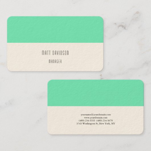 Elegant Plain Green Blue White Professional Visitekaartje (Voorkant / Achterkant)