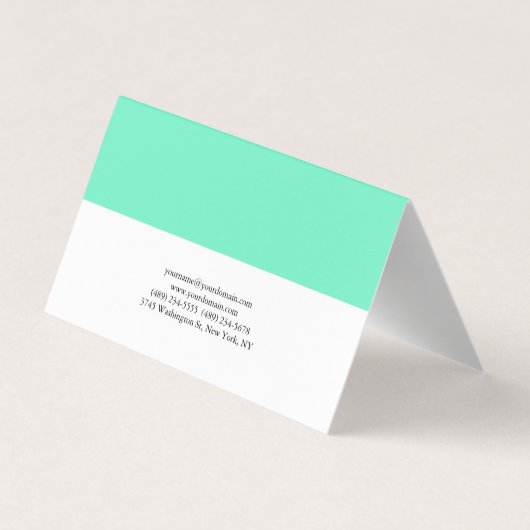 Elegant Plain Green Blue White Professional Visitekaartje (Achterkant)