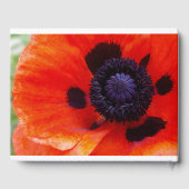 Elegant Poppy Sinaasappel Floral Rental Gastenboek (Achterkant)