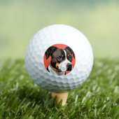 Elegant portret van een zwart-witte hond golfballen (Insitu Shirt)