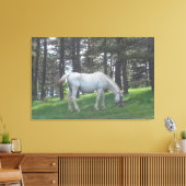 Elegant Prachtig Wit Paard Originele Kunst Canvas Afdruk (Insitu (Woonkamer))