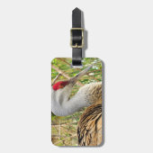 Elegant profiel van een grotere zandheuvelkraan bagagelabel (Voorkant verticaal)