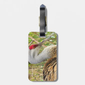 Elegant profiel van een grotere zandheuvelkraan bagagelabel (Achterkant verticaal)