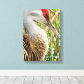 Elegant profiel van een grotere zandheuvelkraan canvas afdruk (Insitu (Houten vloer))