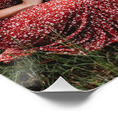 Elegant Proost Gouden Kerstmis Vier Fotocollage Perfect Poster (Hoek)