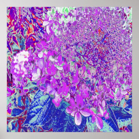 Elegant Purple and Blue Limelight Hydrangea Poster (Voorkant)