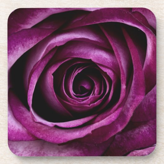 Elegant Purple Rose Close Up Bier Onderzetter (Voorkant)