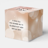 Elegant Quinceañera Pink Blush Bokeh Bedankdoosjes (Achterkant)