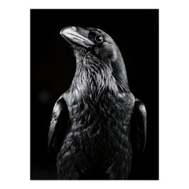 Elegant Raven Minimalist Black and White Portrait Perfect Poster
