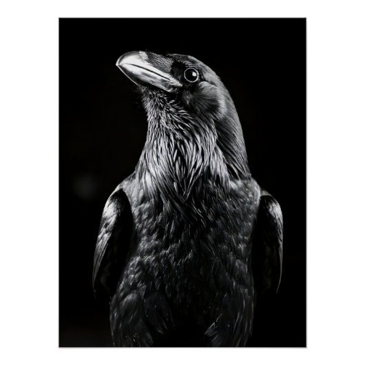 Elegant Raven Minimalist Black and White Portrait Perfect Poster (Voorkant)