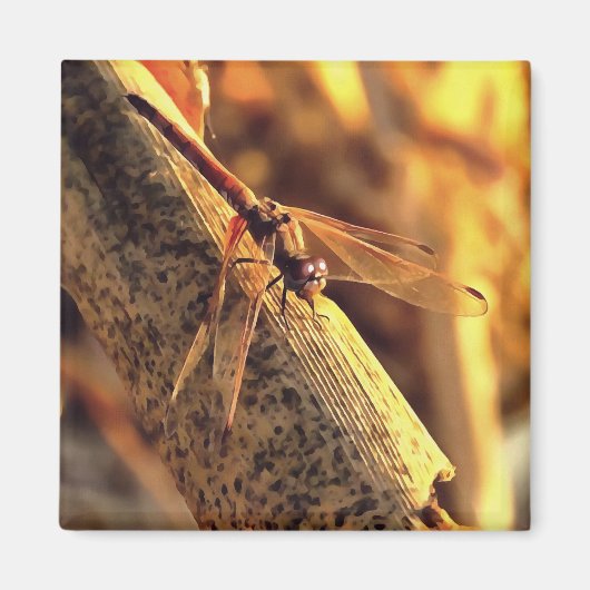Elegant Red Darter Dragonfly snijkunst Magneet (Voorkant)