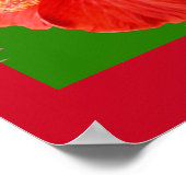 Elegant Red Hibiscus in Full Bloom Poster (Hoek)