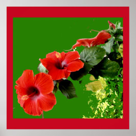 Elegant Red Hibiscus in Full Bloom Poster