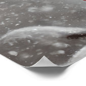 Elegant Red Kardinaal Birds Art Poster (Hoek)