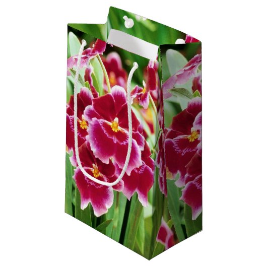 Elegant Red Orchid Klein Cadeauzakje (Voorkant Gekanteld)