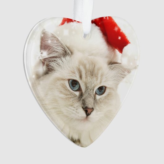 Elegant Red Pet Memorial Foto Keepslag Ornament (voorkant)