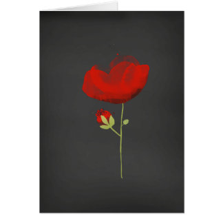 Elegant Red Poppy over zwart