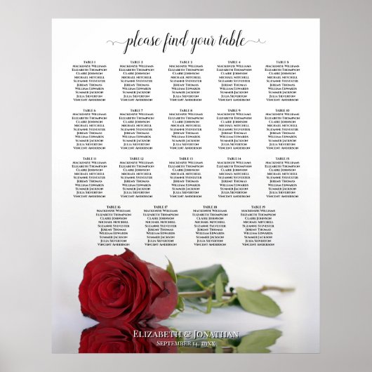 Elegant Red Rose 19 Table Wedding Seating Chart Poster (Voorkant)
