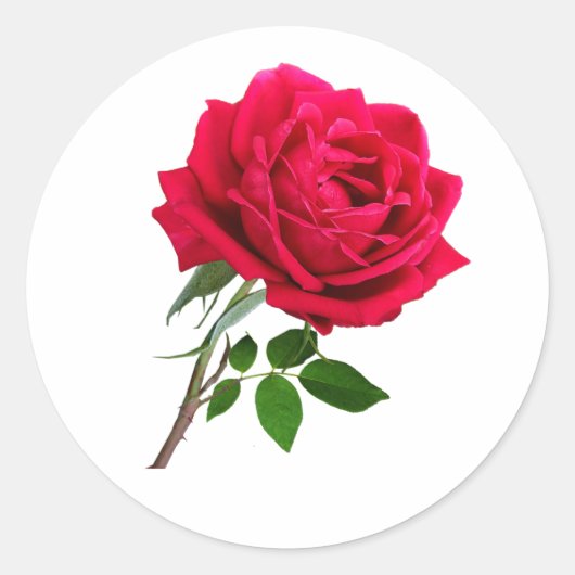 Elegant Red Rose Flower Ronde Sticker (Voorkant)